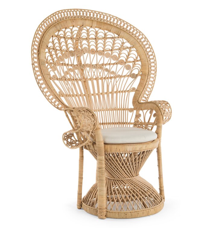 Wayfair 2024 rattan chairs